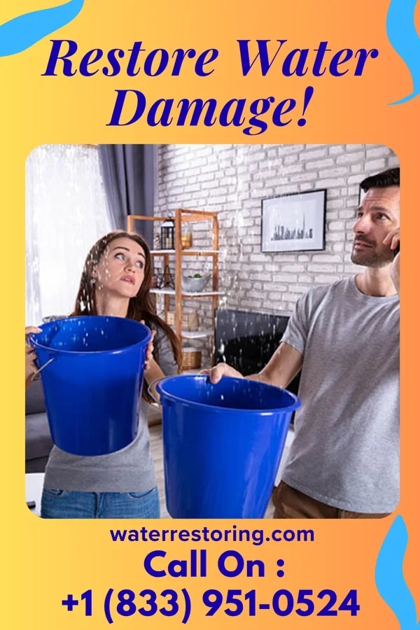 water restoration Citywide Disaster Recovery Newnan